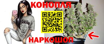 эйфоретик Дубна