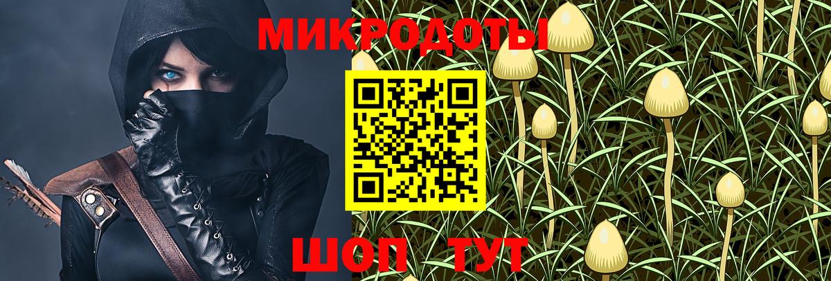Галлюциногенные грибы GOLDEN TEACHER Курчатов